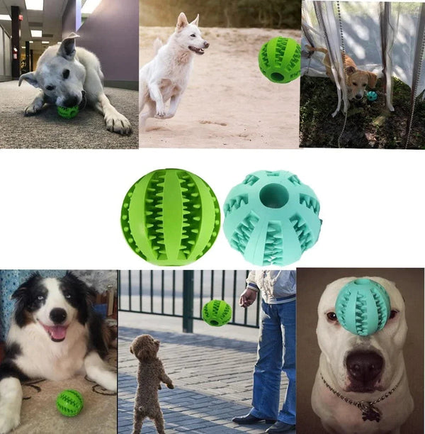 Interaktiver Hundespielball MySalvora