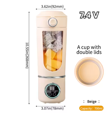 Tragbarer Smoothie-Mixer MySalvora