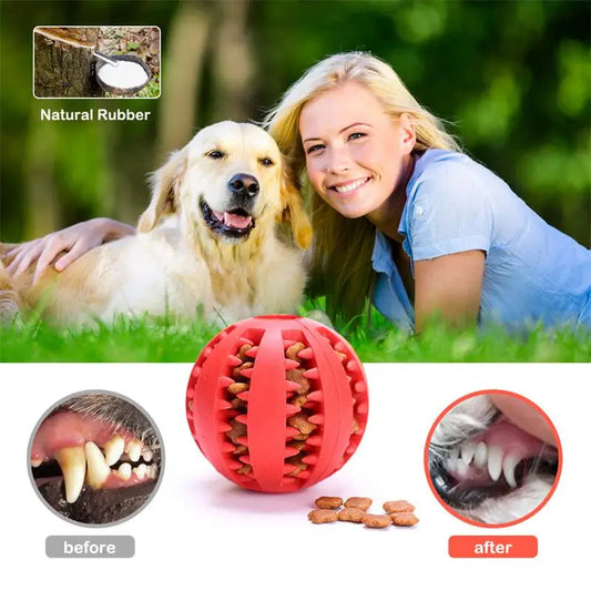 Interaktiver Hundespielball MySalvora