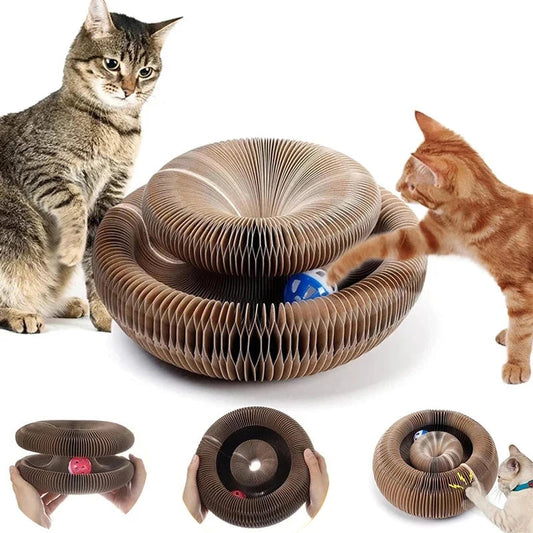 Magischer Katzenkratzball MySalvora