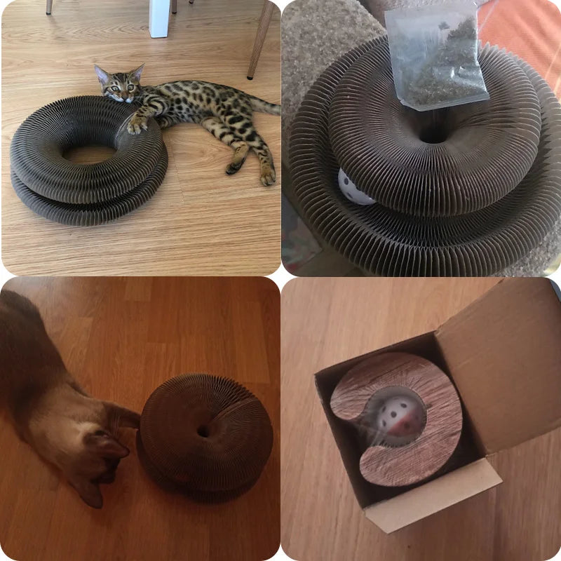 Magischer Katzenkratzball MySalvora