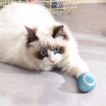 Magischer Katzen-Spielball MySalvora