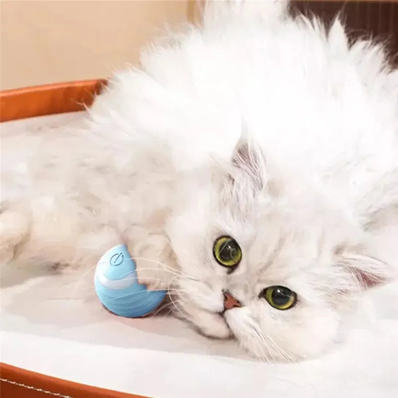 Magischer Katzen-Spielball MySalvora