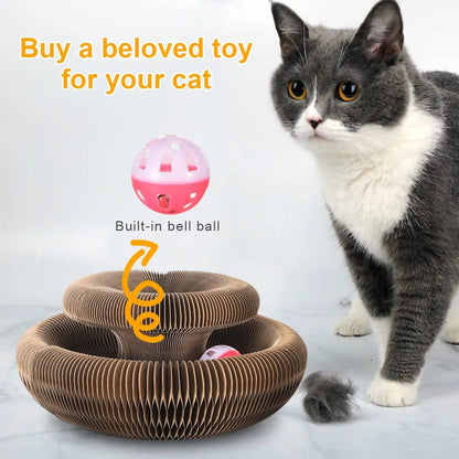 Magischer Katzenkratzball MySalvora