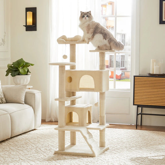 Abenteuerliche Katzen-Spielwelt MySalvora