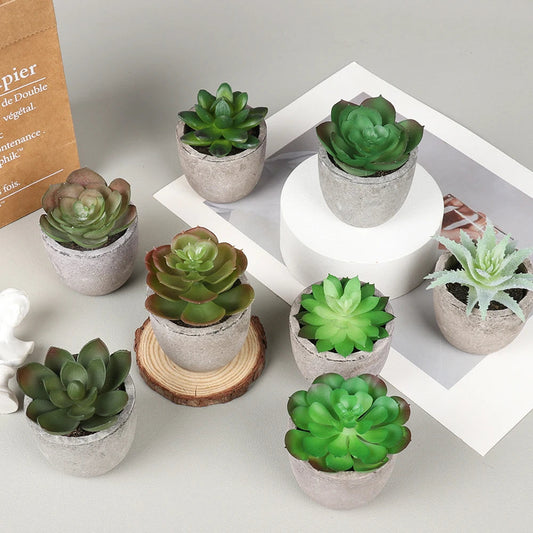 Kleine Künstliche Pflanzen Set MySalvora