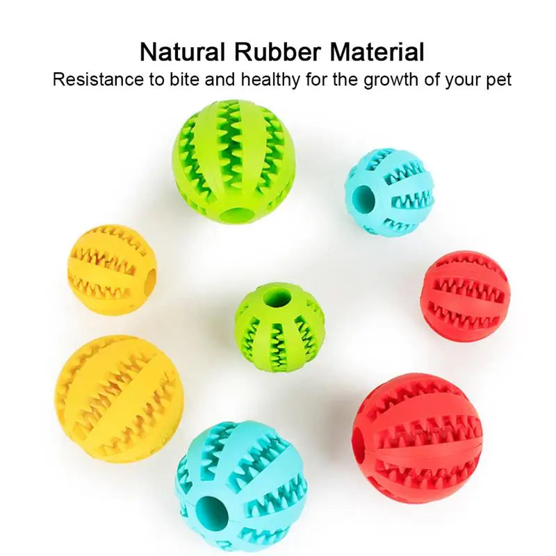 Interaktiver Hundespielball MySalvora